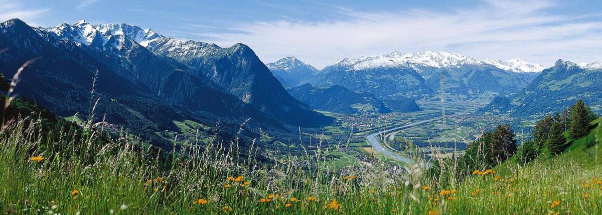 Wildflowers in a meadow against a backdrop of a mountain valley in Liechtenstein